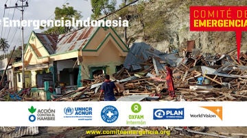 Comité de Emergencia para canalizar la solidaridad ante el terremoto y el tsunami en Indonesia