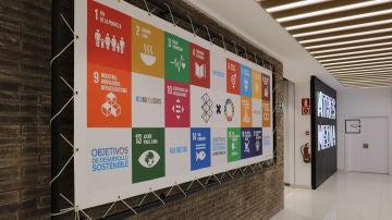 Nuestra contribución en 2019