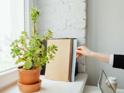 Informes sostenibilidad