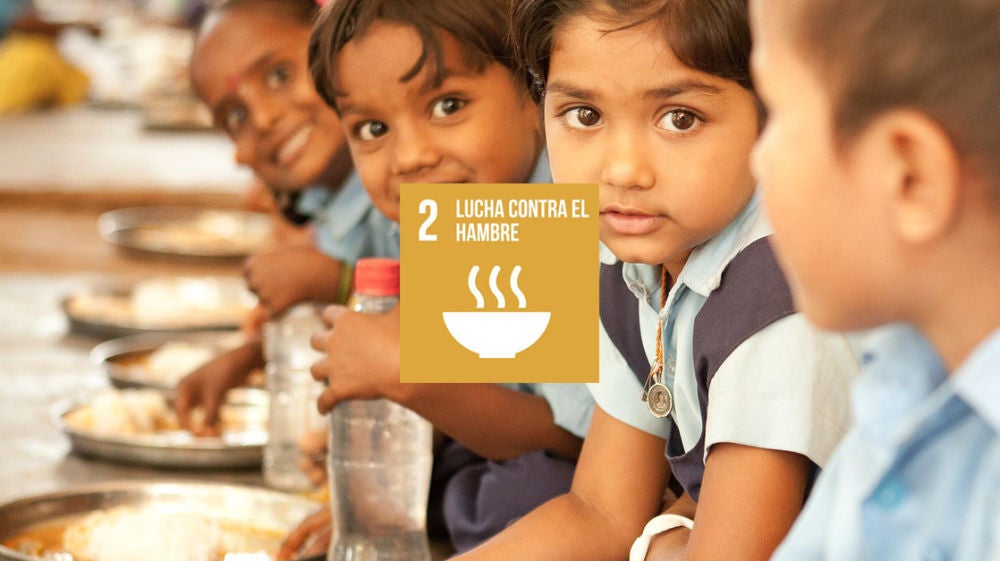 ODS 2: Hambre Cero