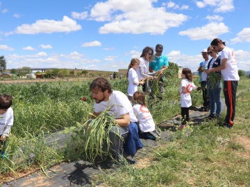 Voluntarios Atresmedia disfrutan de un día en la naturaleza junto a los usuarios de la Fundación Aldaba