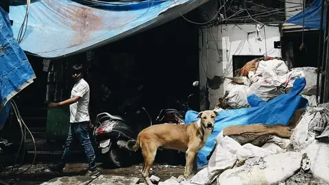 En el corazón de Dharavia En el corazón de Dharavia