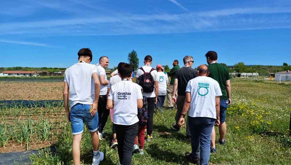 Atresmedia Volunteers at the Fundación Aldaba Occupational Center
