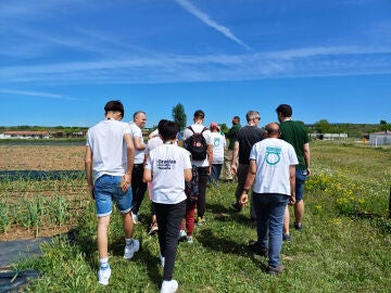 Atresmedia Volunteers at the Fundación Aldaba Occupational Center