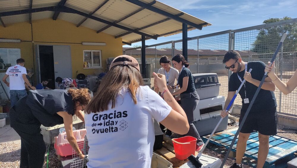 Voluntarios Atresmedia en el Refugio de Animales de ANAA