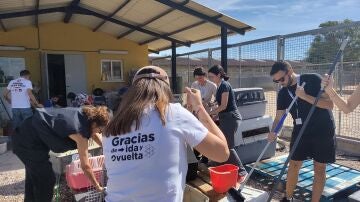 Voluntarios Atresmedia en el Refugio de Animales de ANAA